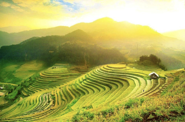 TẤT TẦN TẬT KINH NGHIỆM VI VU TÂY BẮC