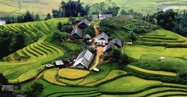 TẤT TẦN TẬT KINH NGHIỆM VI VU TÂY BẮC