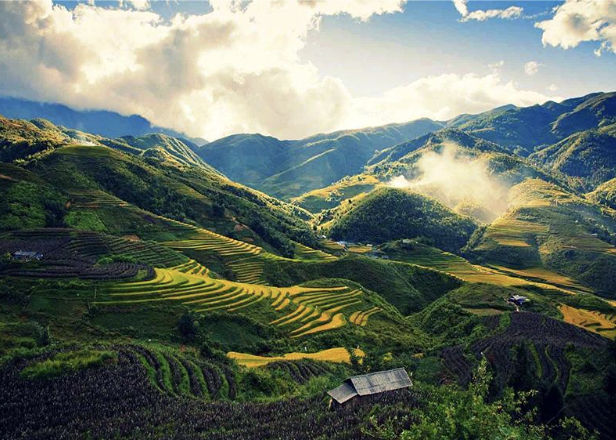 TẤT TẦN TẬT KINH NGHIỆM VI VU TÂY BẮC