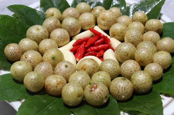 Quả móc mật