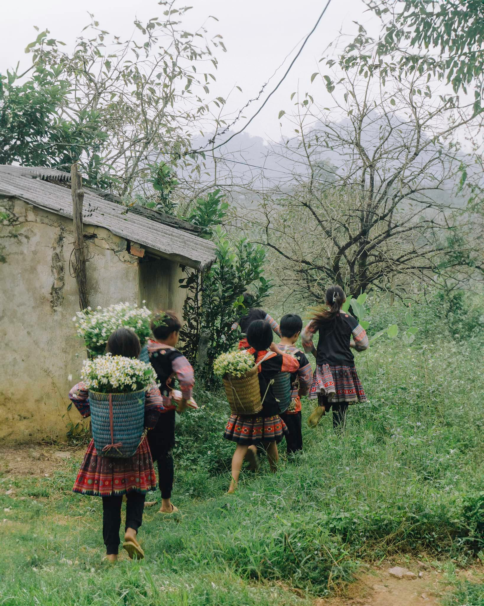 Ngao Du Mộc Châu