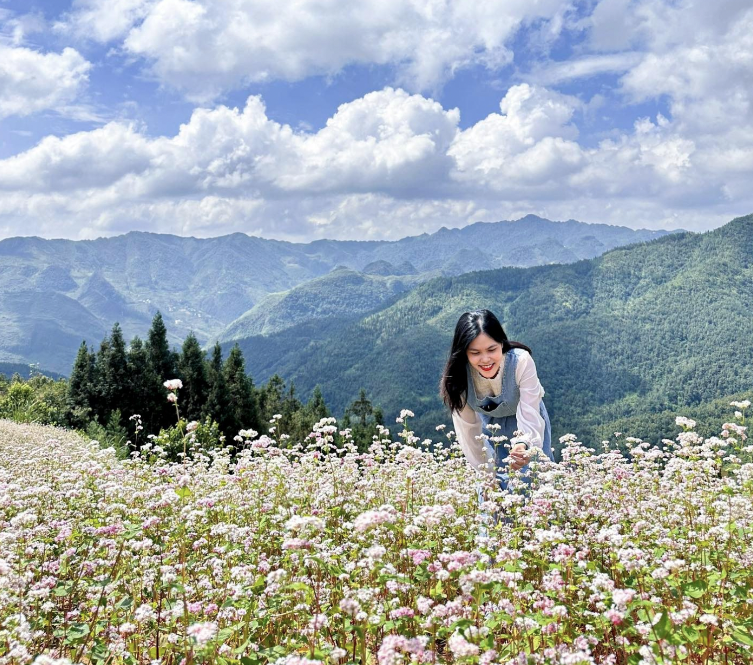 ngao du tam giác mạch 