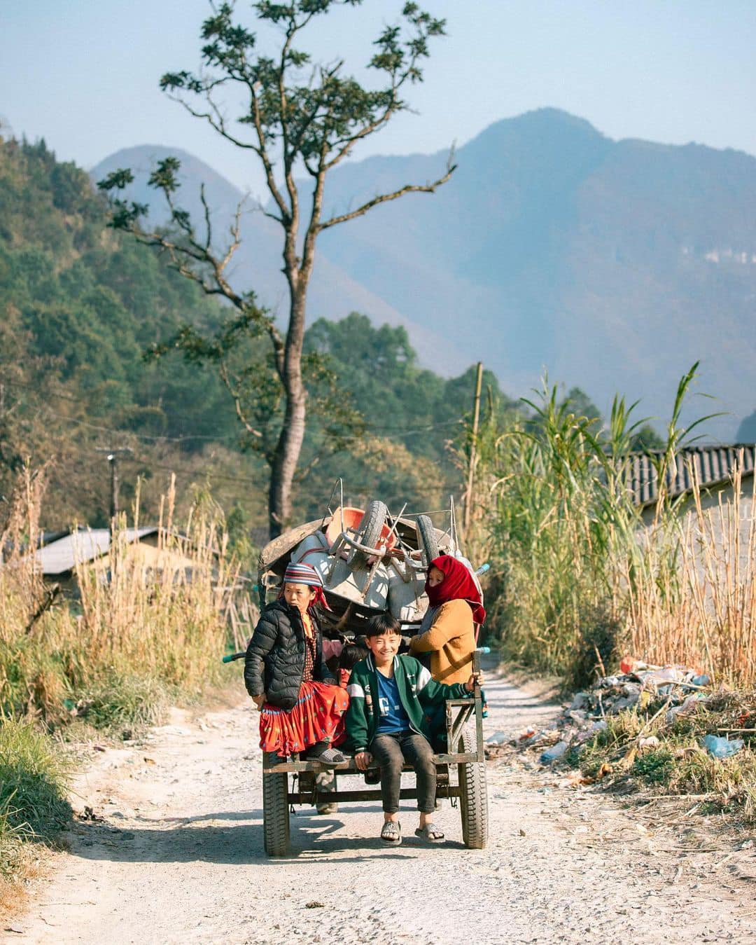 Ngao du phố cáo 
