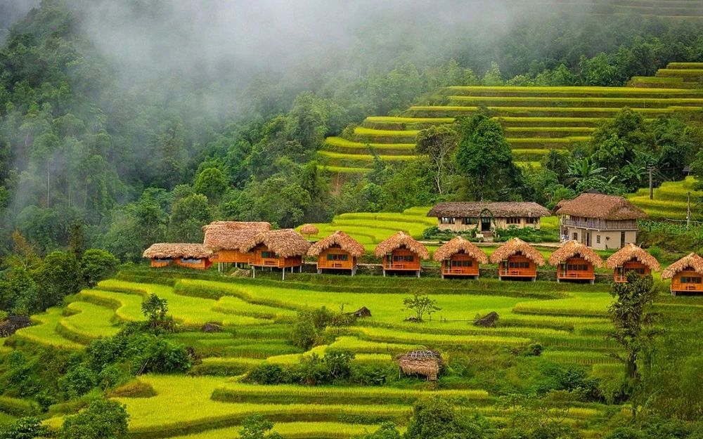 hoàng su phì